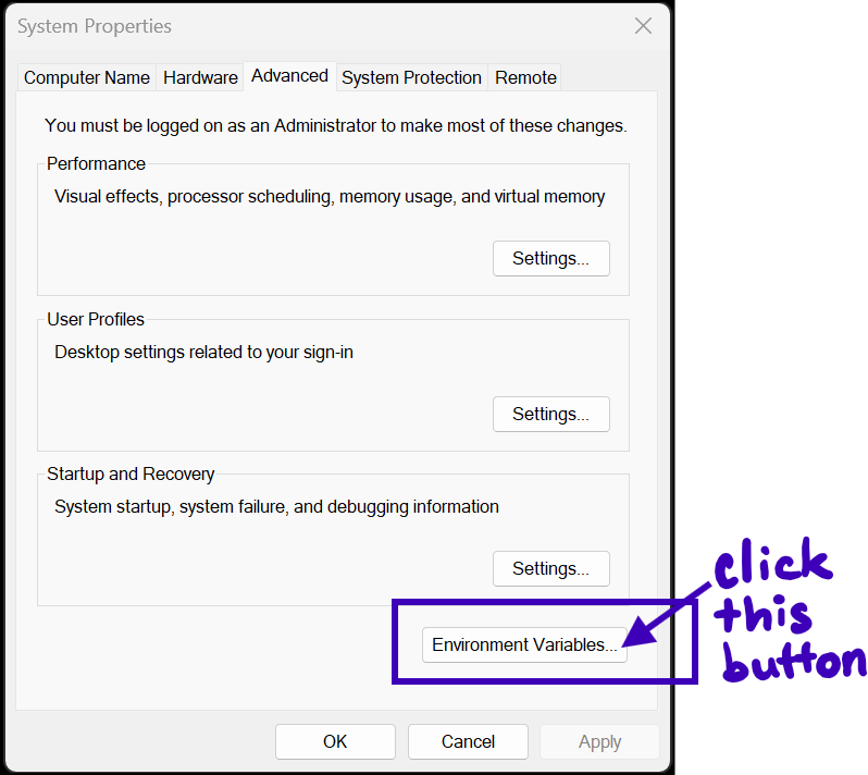 environment variables button