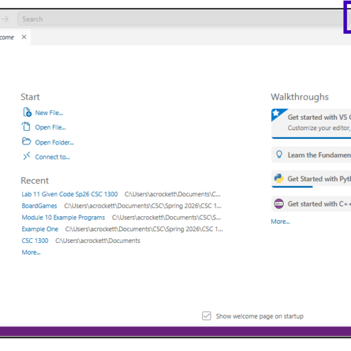 VS Code without AI enabled